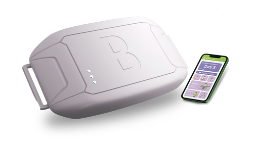BEqualise Belt + 1 consult with one of our experts
